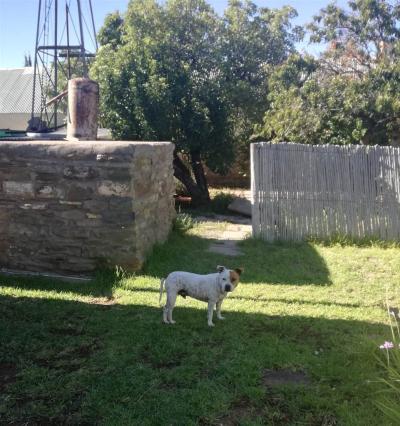 3 Bed House in Fraserburg-2