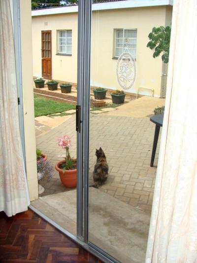 2 Bedroom Garden Cottage in Universitas-1