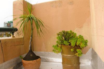1 Bed Apartment in Johannesburg Central-4