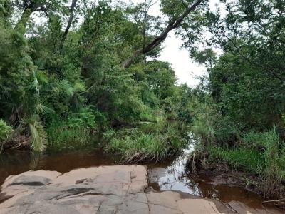 5.3 ha Land available in Hoedspruit-12