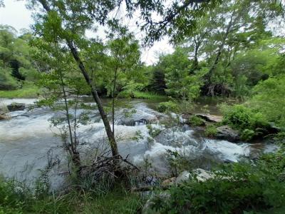 5.3 ha Land available in Hoedspruit-1