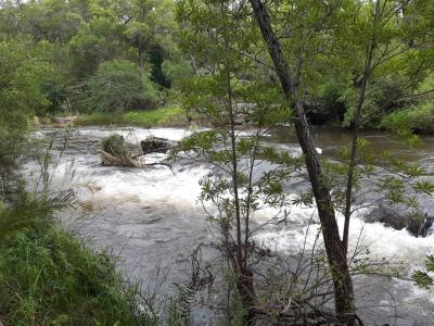 5.3 ha Land available in Hoedspruit-2