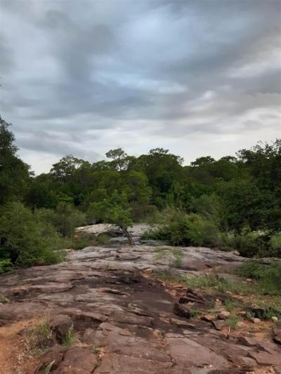 5.3 ha Land available in Hoedspruit-6