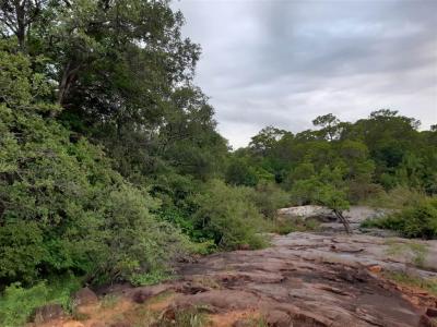 5.3 ha Land available in Hoedspruit-7