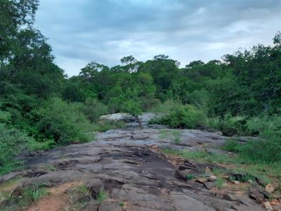 5.3 ha Land available in Hoedspruit-8