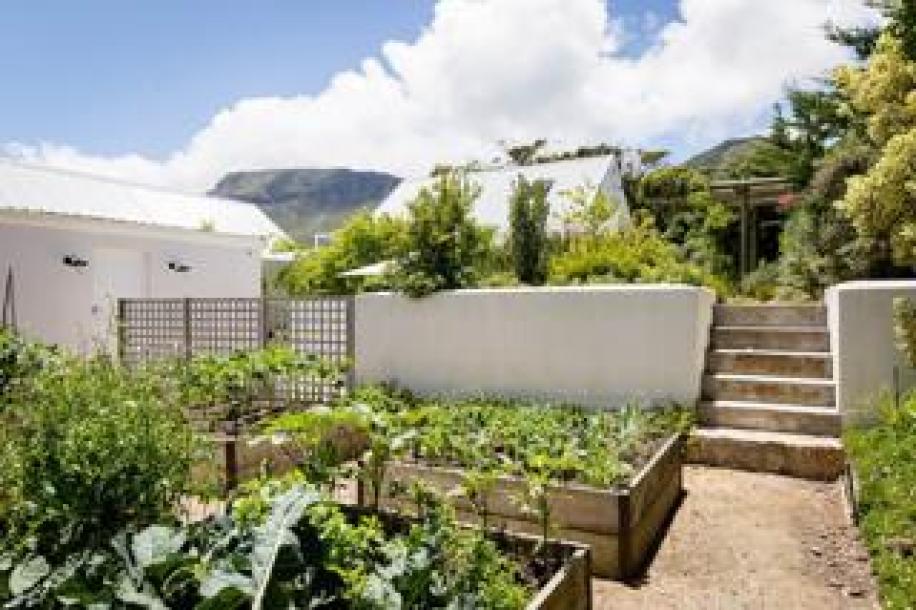 4 Bedroom House to Rent in Crofters Valley-11