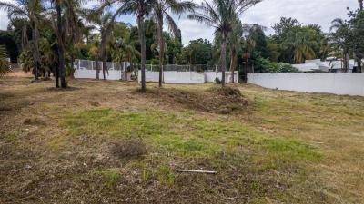 2 013 m² Land available in Morningside-14