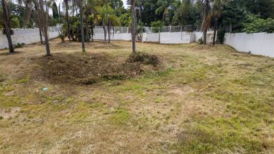 2 013 m² Land available in Morningside-10