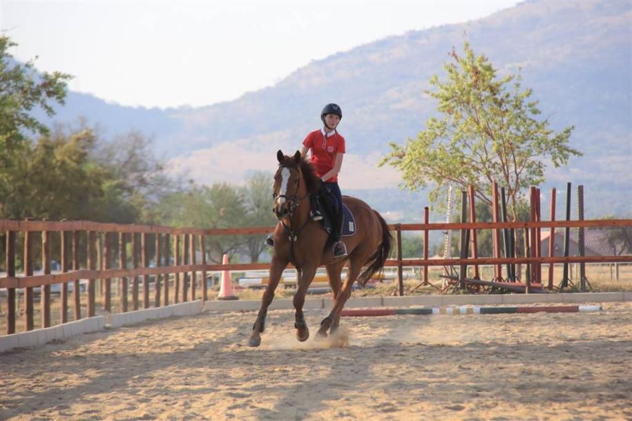 1 Bedroom Garden Cottage in Hartbeespoort Dam-8