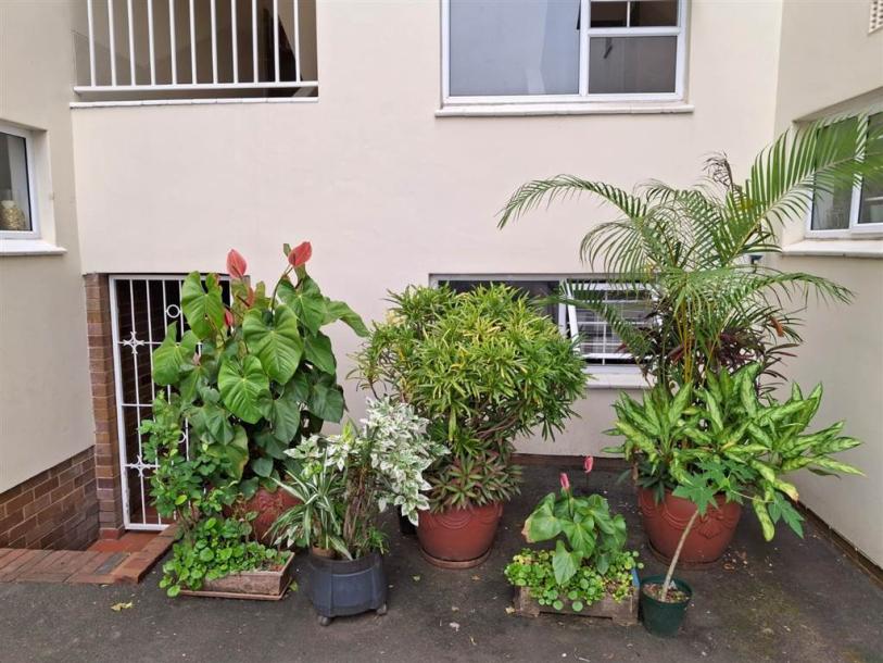 2 Bedroom Flat in Musgrave-13