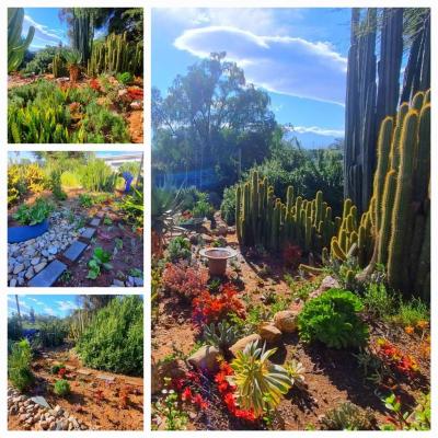 4 Bedroom House in Calitzdorp-14