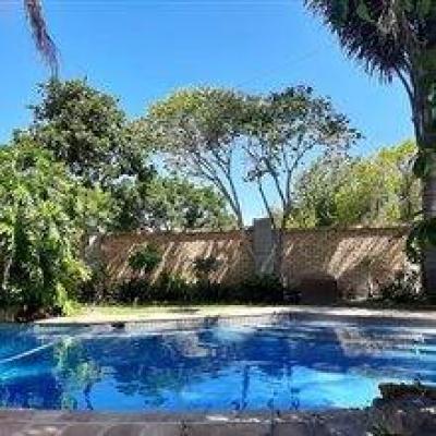 Bachelor apartment in Heather Park-5