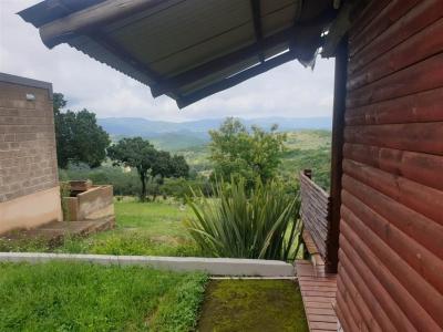 1 Bedroom Apartment in The Rest-3