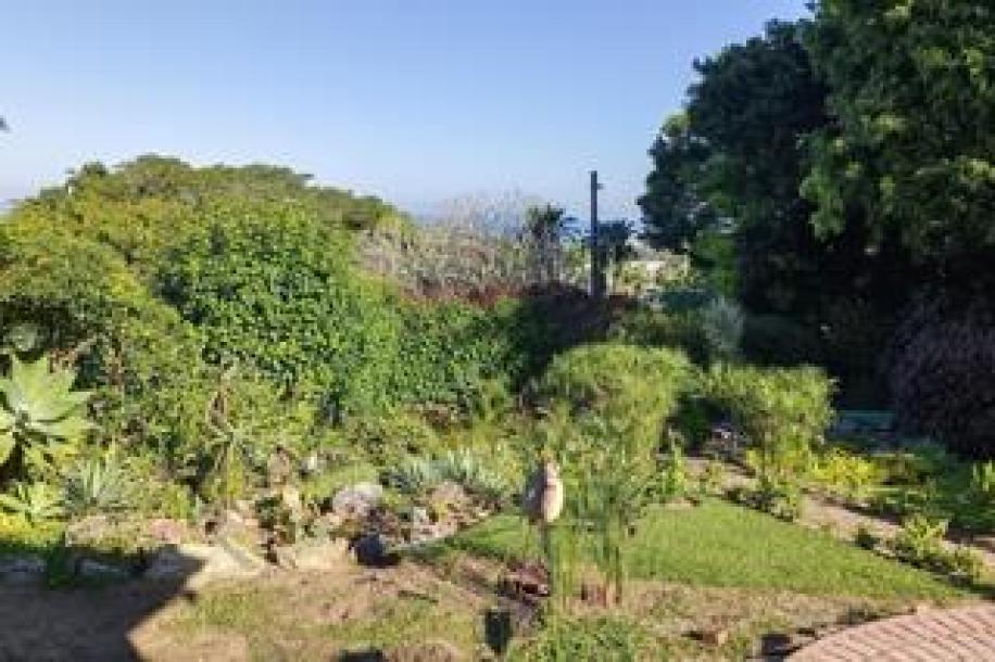 3 Bedroom House for Sale in Uvongo Beach-4