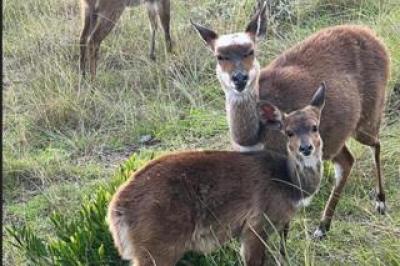 Vacant Land / Plot for Sale in Dana Bay-6