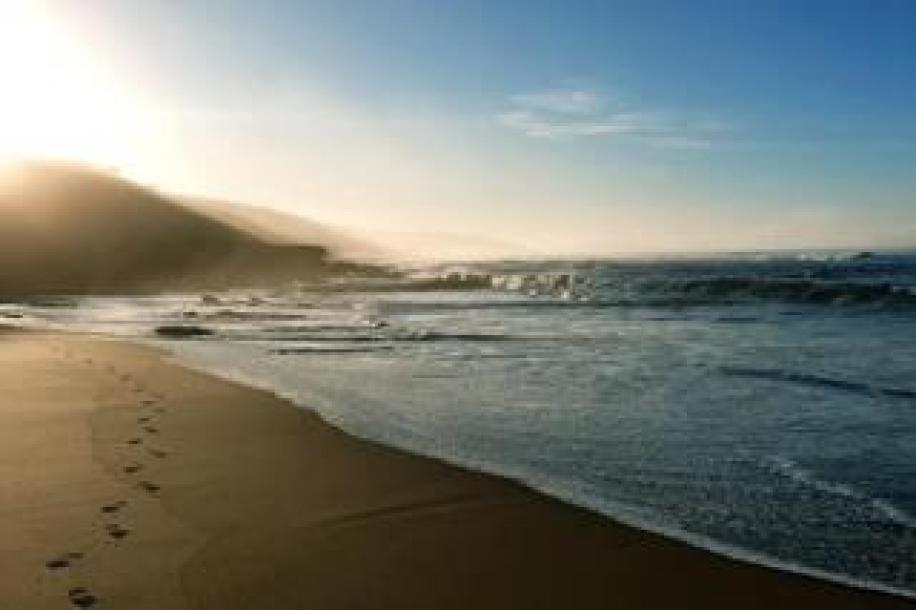 Vacant Land / Plot for Sale in Dana Bay-7