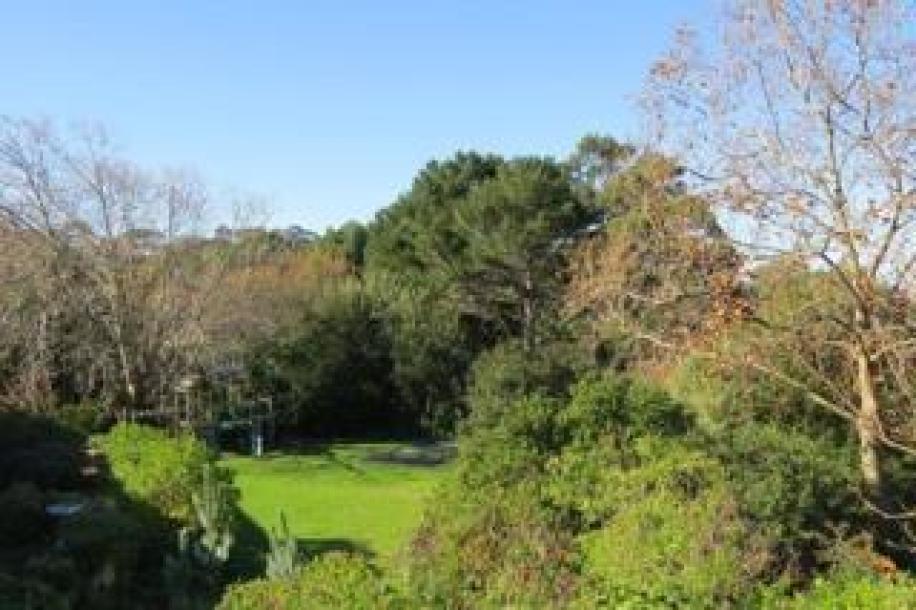 2 Bedroom Apartment / Flat to Rent in Constantia Heights-0
