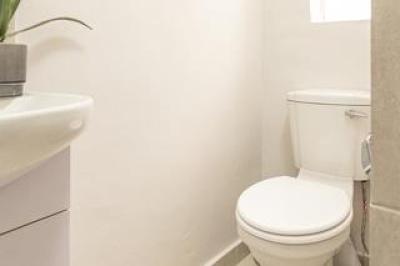 1 Bedroom Apartment / Flat to Rent in Kelvin-15