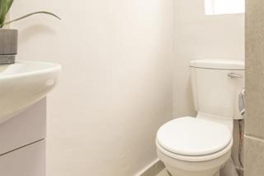 1 Bedroom Apartment / Flat to Rent in Kelvin-15