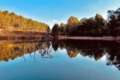 Farm to Rent in Karkloof Estate-18