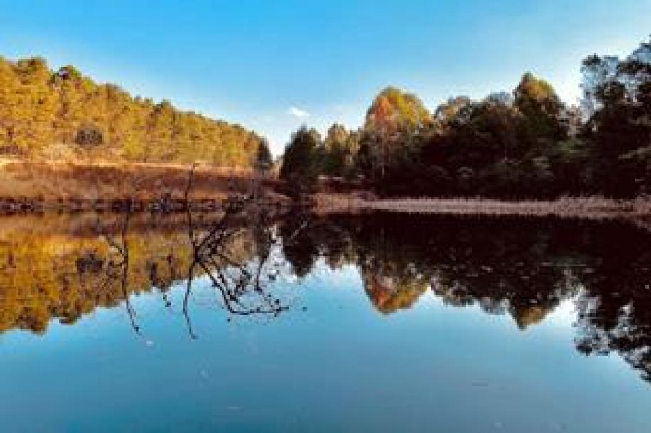 Farm to Rent in Karkloof Estate-18