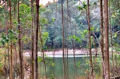 Farm to Rent in Karkloof Estate-19