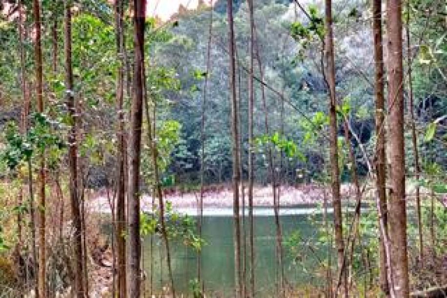 Farm to Rent in Karkloof Estate-19