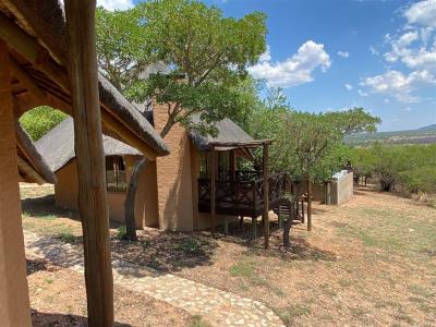 Game Farm in Bela-Bela (Warmbaths)-15