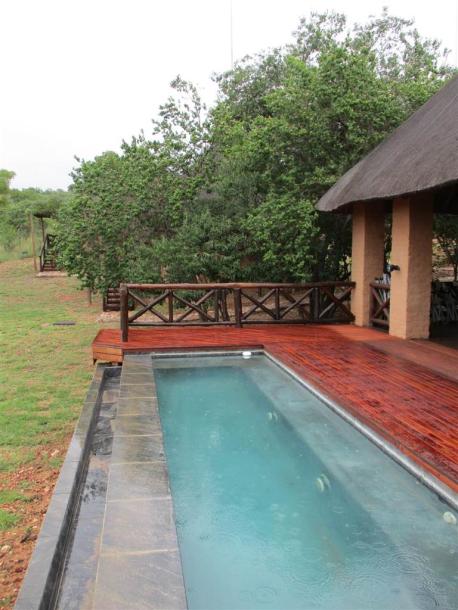 Game Farm in Bela-Bela (Warmbaths)-17