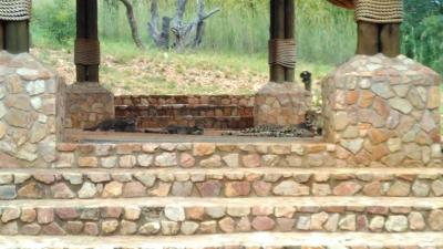 Game Farm in Bela-Bela (Warmbaths)-1