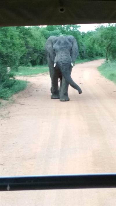 Game Farm in Bela-Bela (Warmbaths)-3