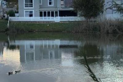 4 Bedroom House for Sale in Erasmus Park-2