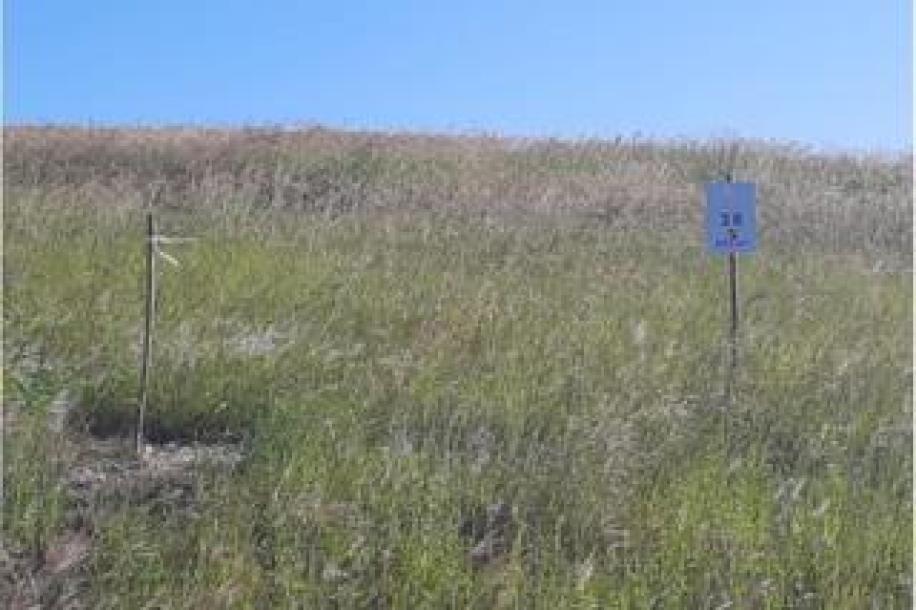 Vacant Land / Plot for Sale in Springvale Country Estate-5