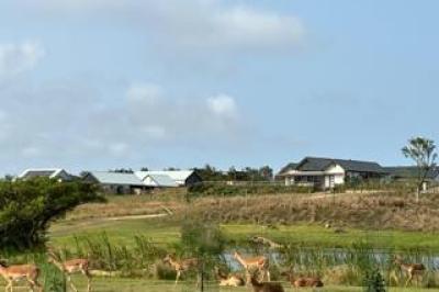 Vacant Land / Plot for Sale in Springvale Country Estate-6