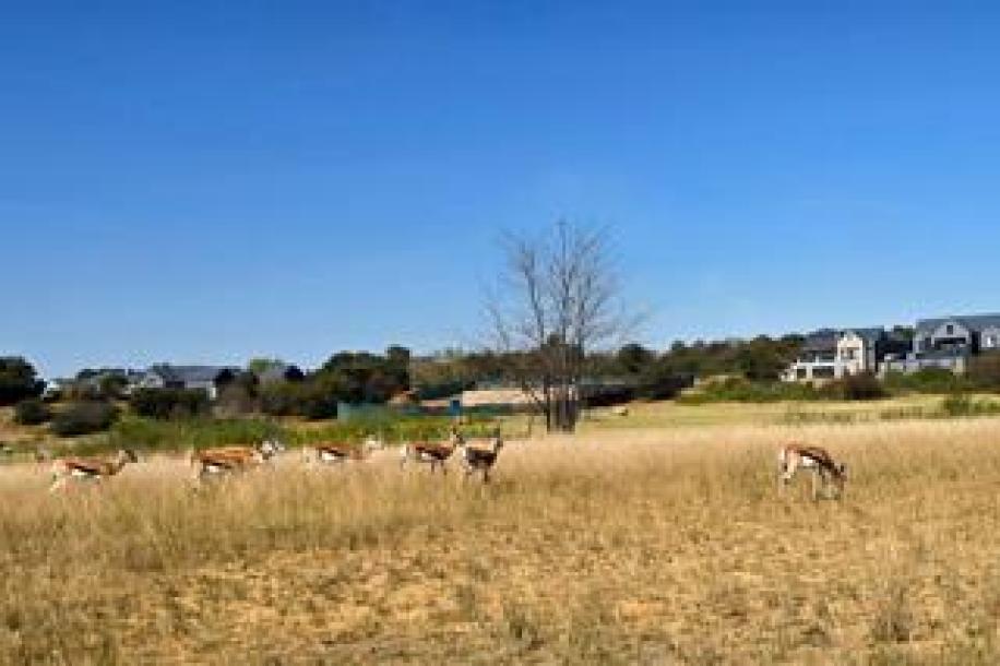 3 Bedroom House for Sale in Heron Banks Golf Estate-18