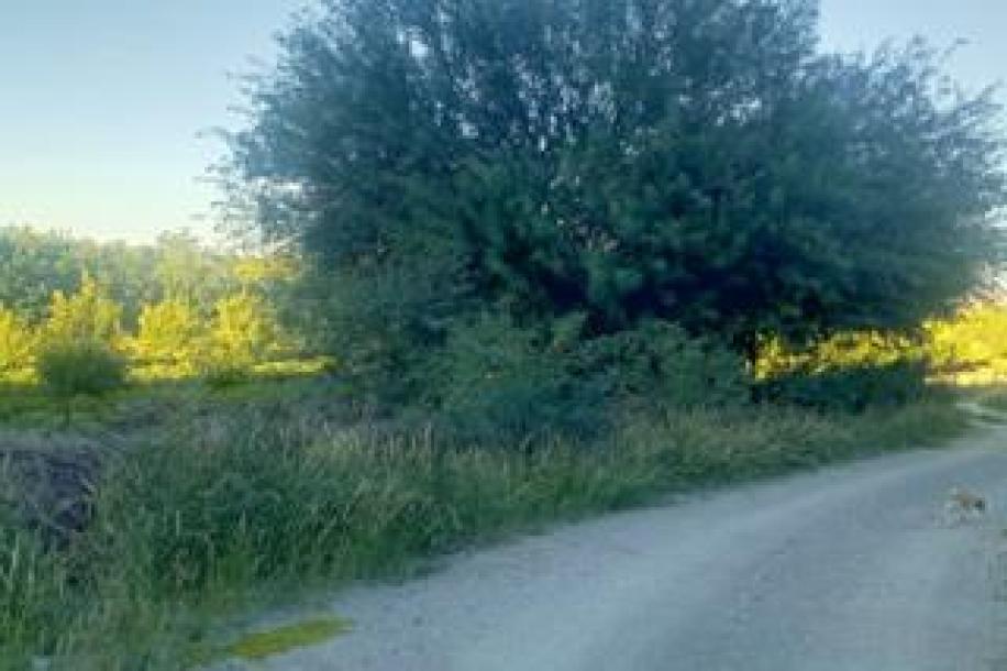 Vacant Land / Plot for Sale in Upington Rural-3