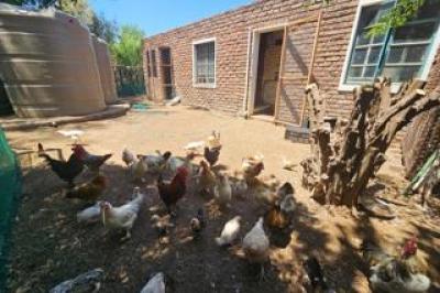 8 Bedroom House for Sale in Keidebees-17