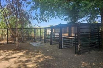 8 Bedroom House for Sale in Keidebees-18