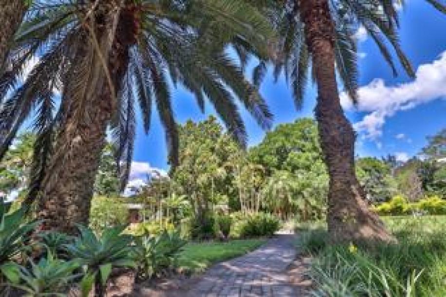 1 Bedroom Apartment / Flat to Rent in Alkmaar-1