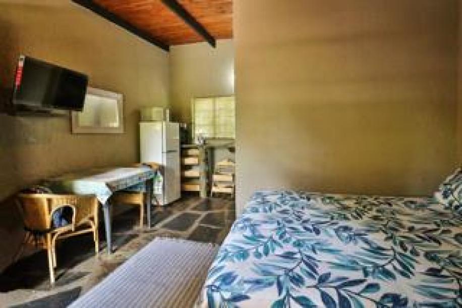 1 Bedroom Apartment / Flat to Rent in Alkmaar-3