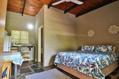 1 Bedroom Apartment / Flat to Rent in Alkmaar-4