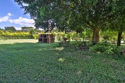 1 Bedroom Apartment / Flat to Rent in Alkmaar-6