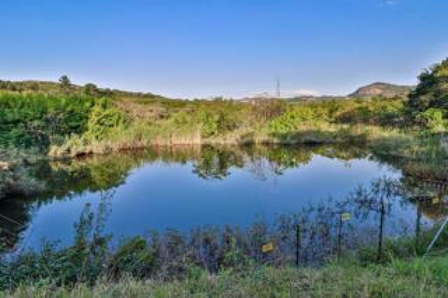 1 Bedroom Apartment / Flat to Rent in Alkmaar-8