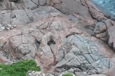 2 Bedroom Apartment / Flat to Rent in Margate Beach-19