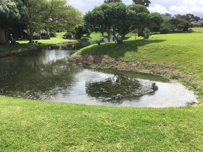 3 Bedroom Apartment in Greenways Golf Estate-15