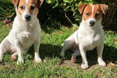 1 Bedroom Apartment / Flat to Rent in Vredehoek