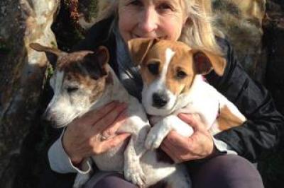 1 Bedroom Apartment / Flat to Rent in Vredehoek