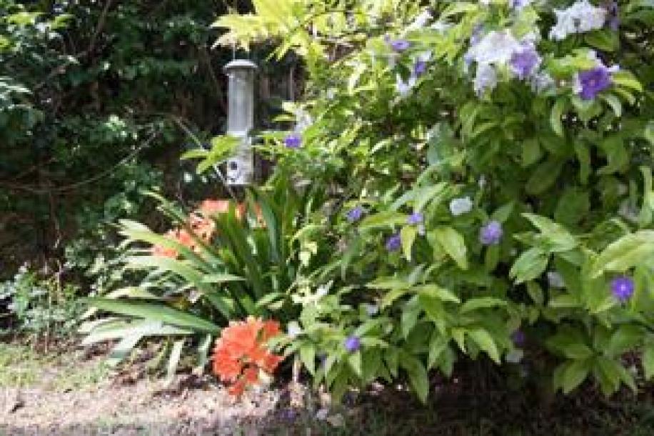 1 Bedroom Apartment / Flat to Rent in Vredehoek-6