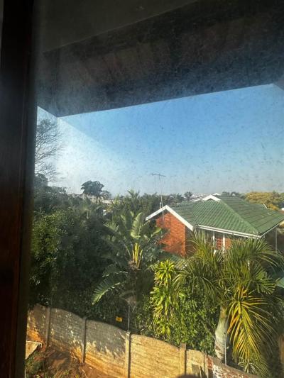 3 Bed Apartment in Durban North-5